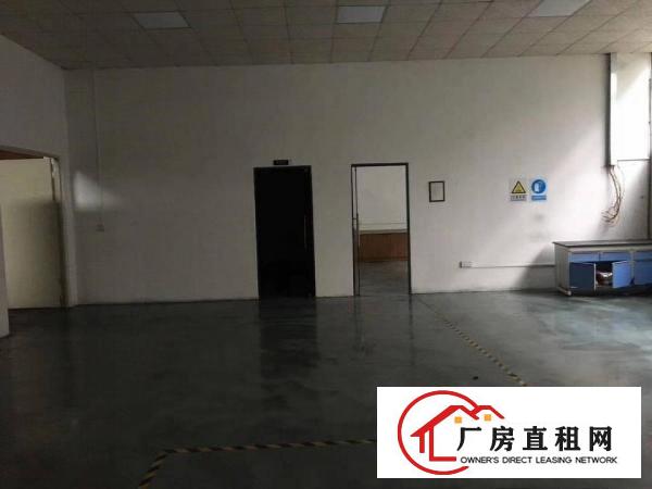 清溪大型工业园标准单一层2600平，高12米，带牛角现成水电