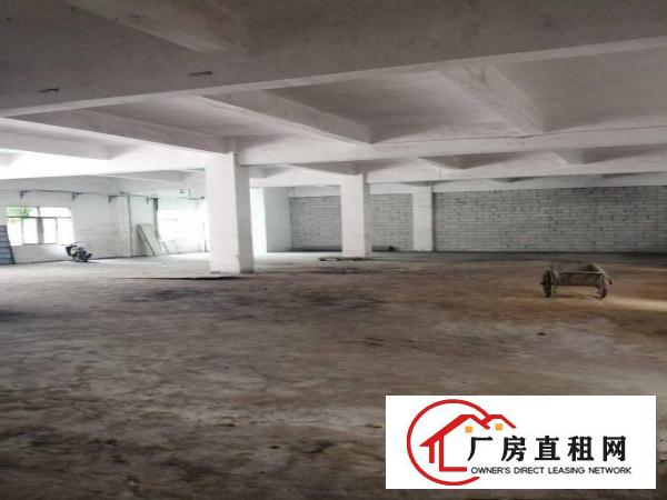  清溪土桥1楼，1000平，还带现成办公室，价格好商量