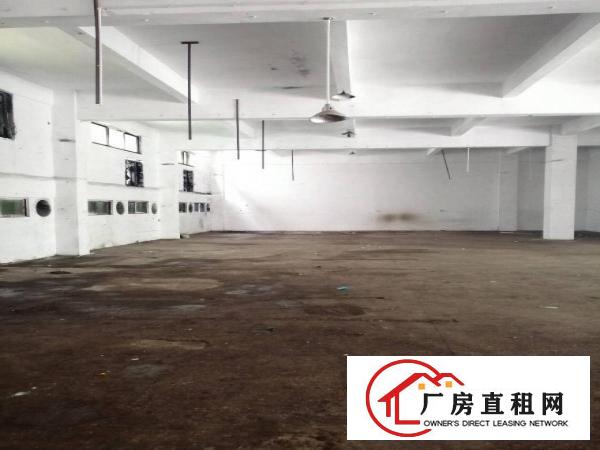 清溪土桥1楼，1000平，还带现成办公室，价格好商量