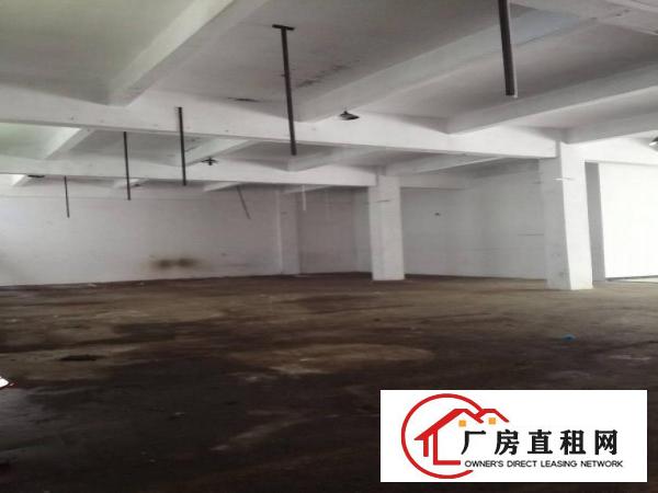  清溪土桥1楼，1000平，还带现成办公室，价格好商量