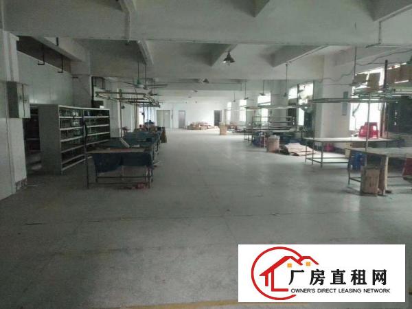  清溪镇新出原房东分租二楼788平出租豪华办公室水电