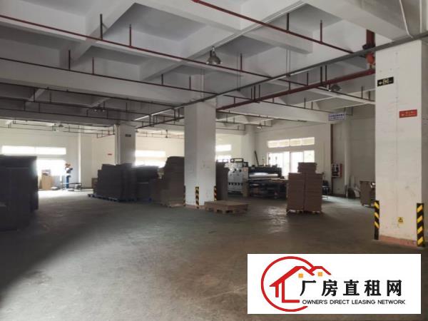  大朗宝陂标准厂房一楼850平出租，形象好空地大