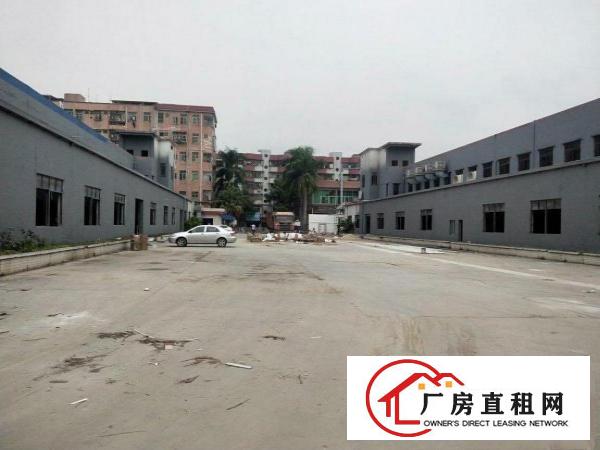  清溪新出原房东单一层砖墙到顶滴水8米钢构1200平方出租