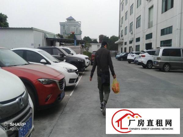  清溪打包价4万左右标准厂房