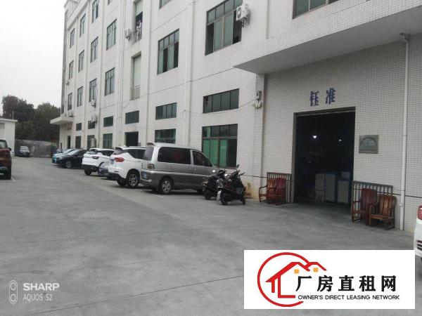  清溪打包价4万左右标准厂房