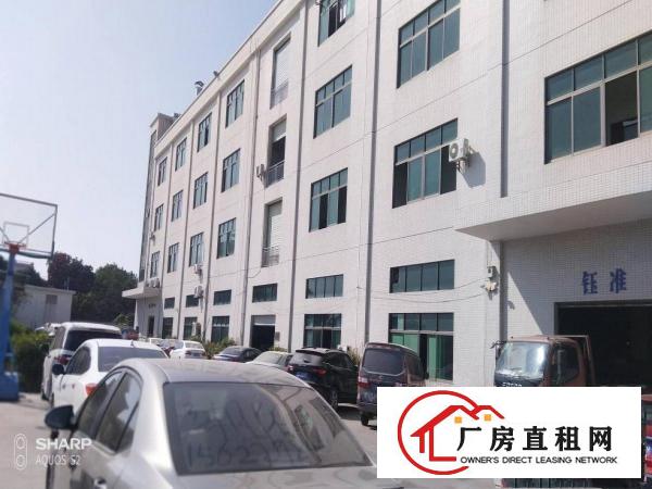  清溪打包价4万左右标准厂房