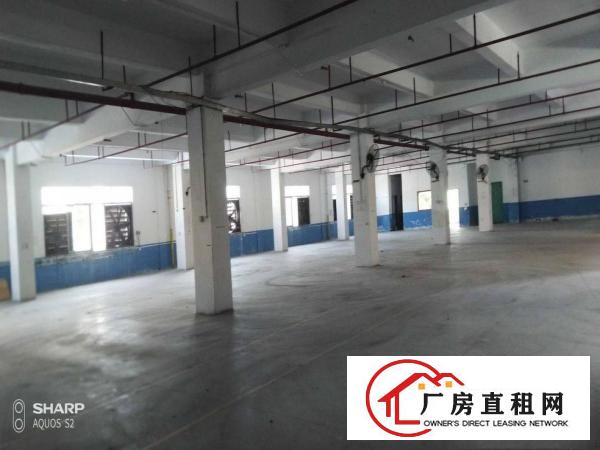  清溪打包价4万左右标准厂房