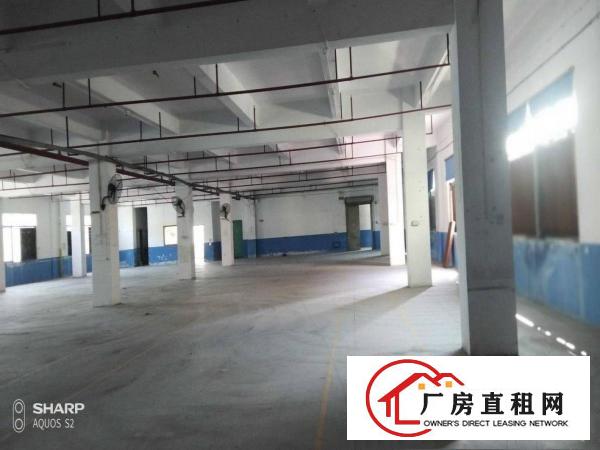  清溪打包价4万左右标准厂房