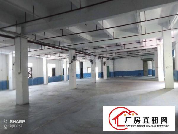  清溪打包价4万左右标准厂房