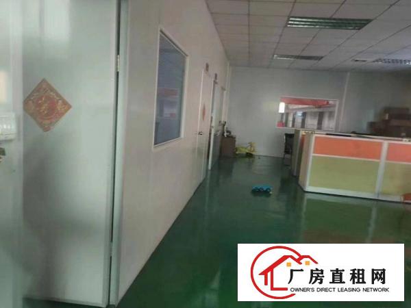  清溪新出标准厂房二楼550平，报价8元，报价8元，报价8元
