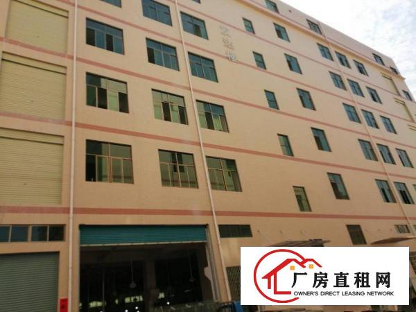  九乡新出厂房，9成新，大小可分租。全新地坪漆。装配客户