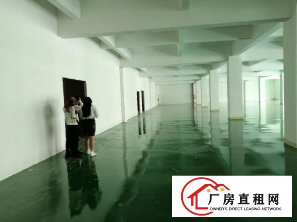  九乡新出厂房，9成新，大小可分租。全新地坪漆。装配客户