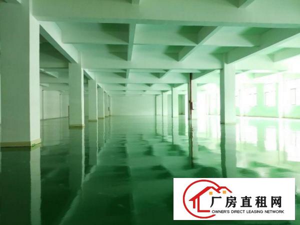  九乡新出厂房，9成新，大小可分租。全新地坪漆。装配客户