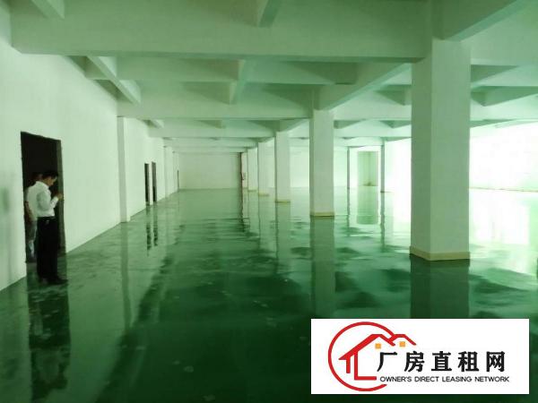  九乡新出厂房，9成新，大小可分租。全新地坪漆。装配客户