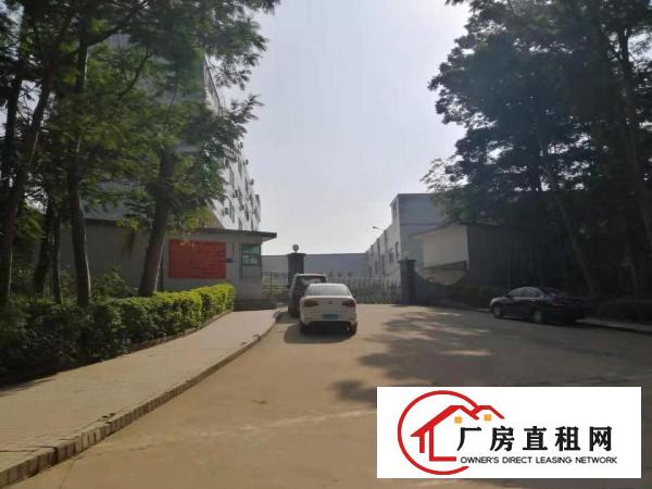  清溪三中标准厂房可分租有地坪漆水电消防齐全精装修