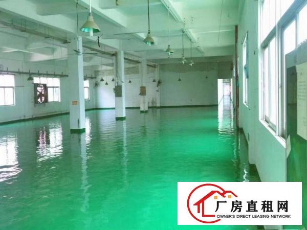  罗马新出楼上1150厂房出租。