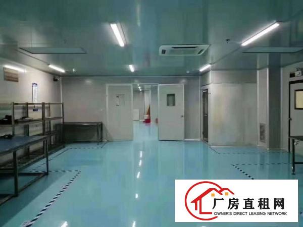  清溪高速路口原房东百级无尘车间2600平米出租500平起分租