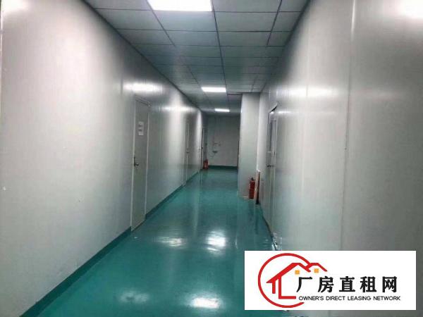  清溪高速路口原房东百级无尘车间2600平米出租500平起分租