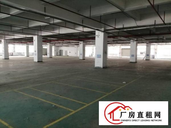  清溪大路边，1到5楼500平起分租，价格低于10元起