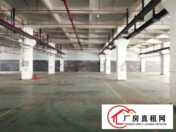  清溪大路边，1到5楼500平起分租，价格低于10元起