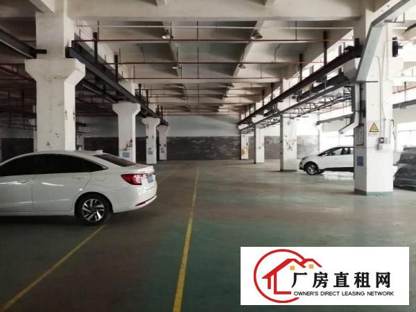  清溪大路边，1到5楼500平起分租，价格低于10元起