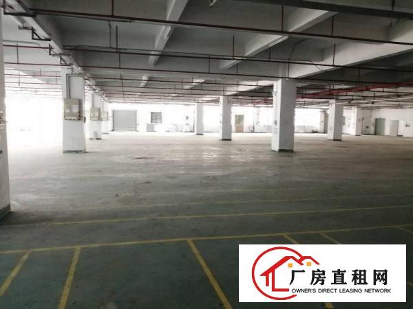  清溪大路边，1到5楼500平起分租，价格低于10元起