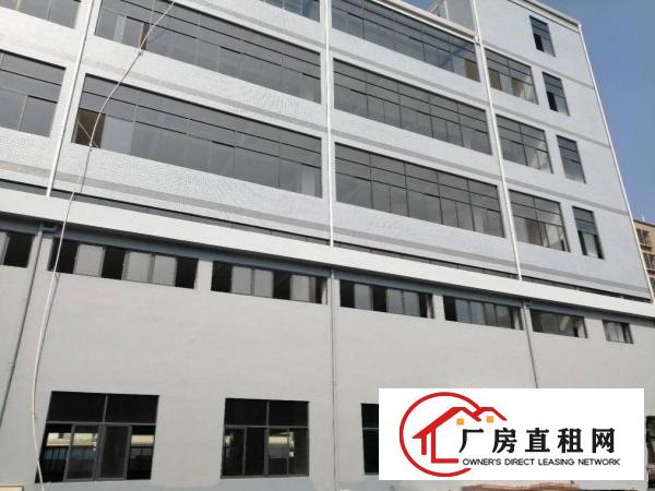  新厂房，12000平左右，可整租，可分租