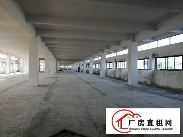  新厂房，12000平左右，可整租，可分租