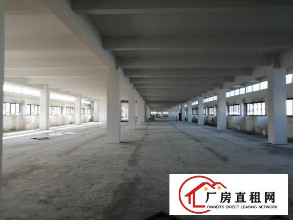  新厂房，12000平左右，可整租，可分租
