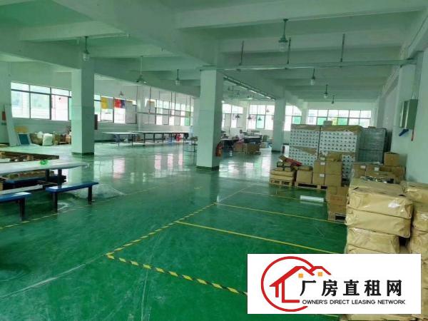  清溪新出标准厂房1080平豪华精装修办公室可做电池可分租