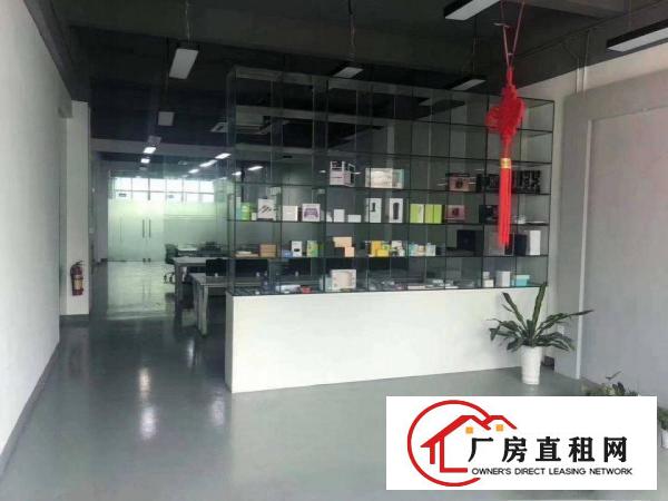  清溪新出标准厂房1080平豪华精装修办公室可做电池可分租