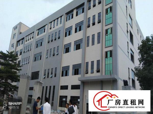  清溪打包价16万左右的标准厂房招租