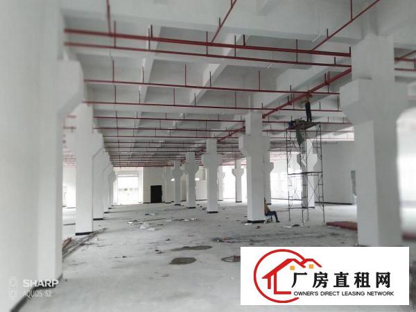  清溪打包价16万左右的标准厂房招租