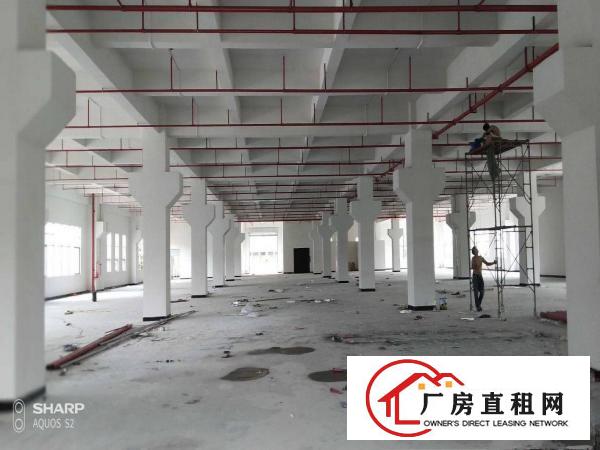  清溪打包价16万左右的标准厂房招租