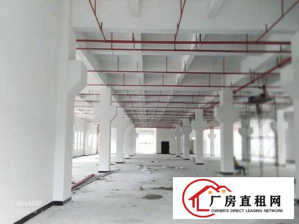  清溪打包价16万左右的标准厂房招租