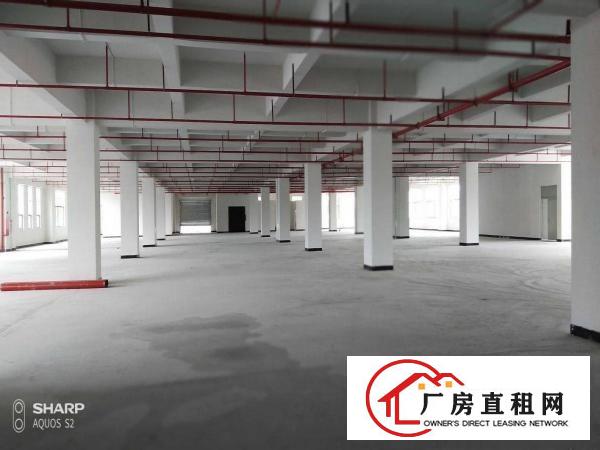  清溪打包价16万左右的标准厂房招租