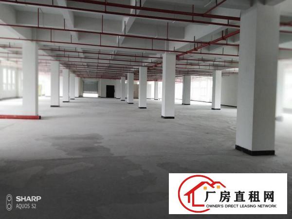  清溪打包价16万左右的标准厂房招租