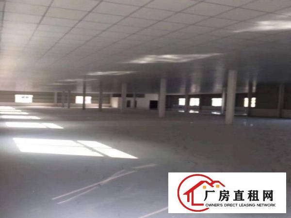  清溪原房东独栋厂房出租，一楼6.5高，二楼5米高，现成水电齐