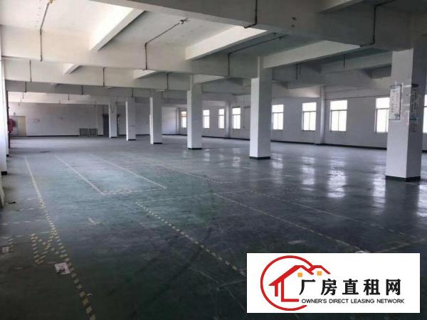  清溪三中新出二楼整层1300平厂房带装修出租现成水电