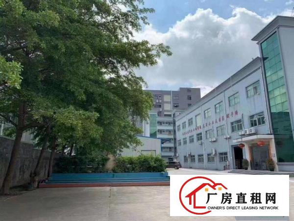  清溪三中新出二楼整层1300平厂房带装修出租现成水电