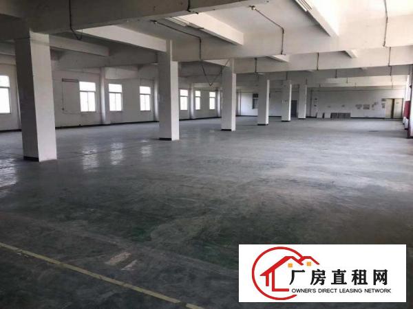  清溪三中新出二楼整层1300平厂房带装修出租现成水电