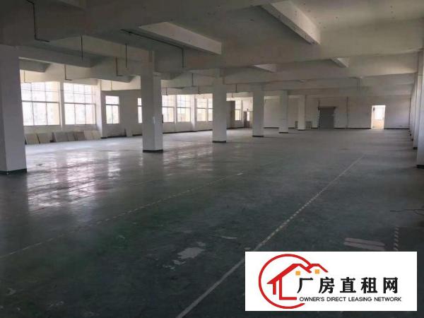  清溪三中新出二楼整层1300平厂房带装修出租现成水电