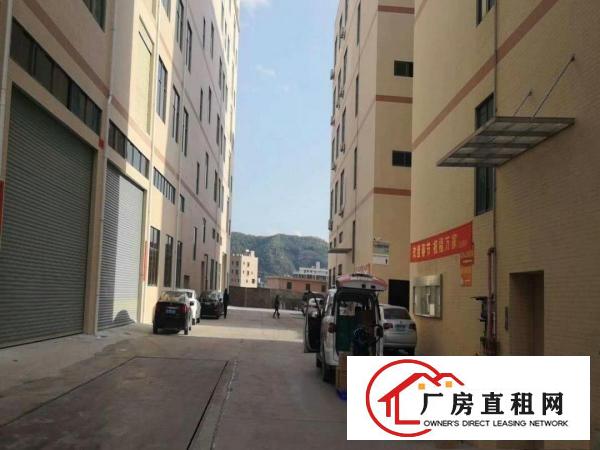  清溪镇全新重工业标准厂房20000平方分租