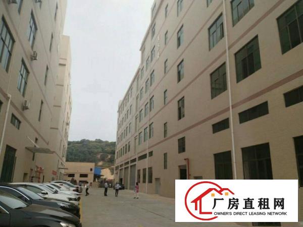  清溪镇全新重工业标准厂房20000平方分租