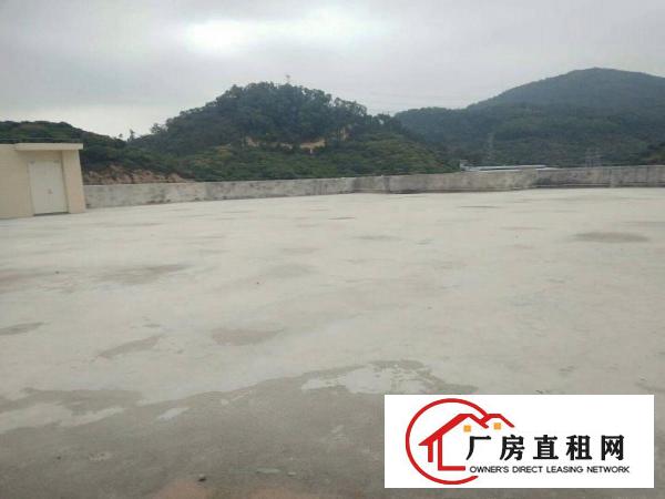  清溪镇全新重工业标准厂房20000平方分租
