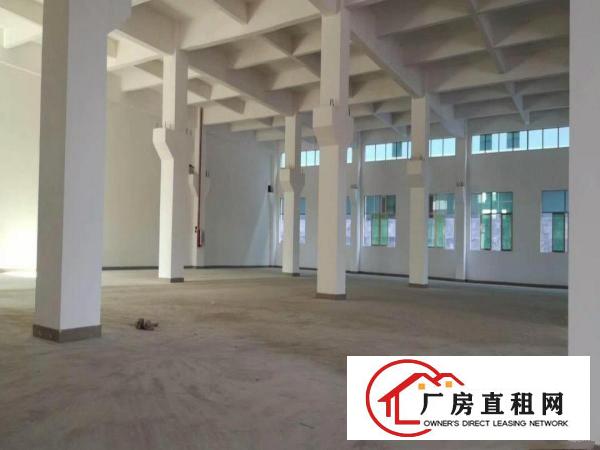  清溪镇全新重工业标准厂房20000平方分租