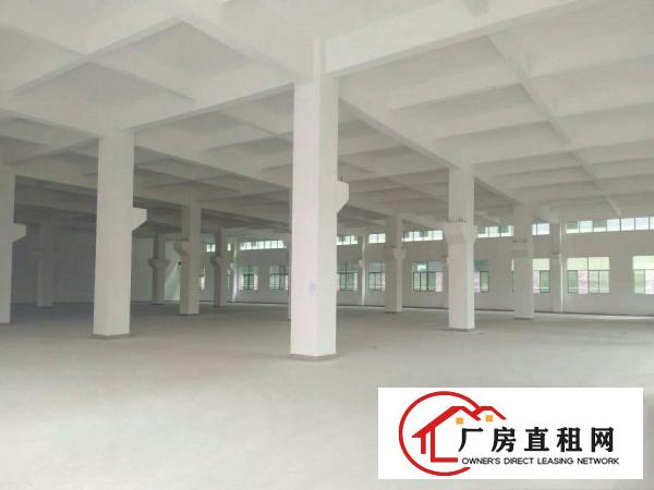  清溪镇全新重工业标准厂房20000平方分租