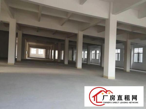  清溪镇全新重工业标准厂房20000平方分租