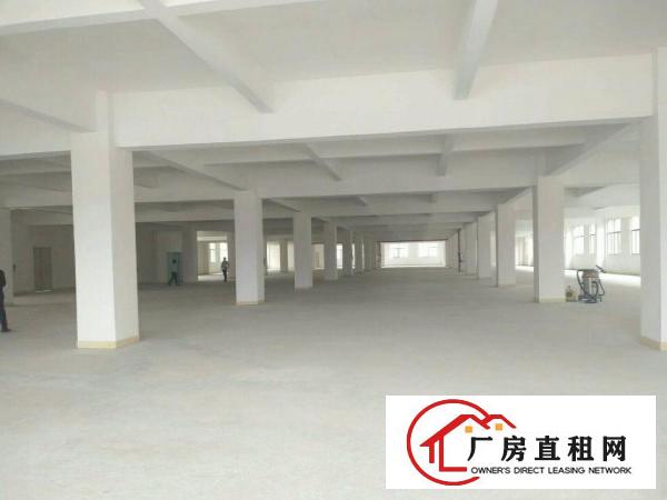  清溪镇全新重工业标准厂房20000平方分租