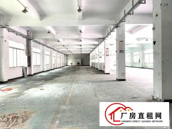  原房东厂房清溪三中高速出口独院一楼高度5米1300平出租